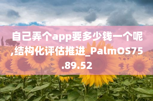 自己弄个app要多少钱一个呢,结构化评估推进_PalmOS75.89.52