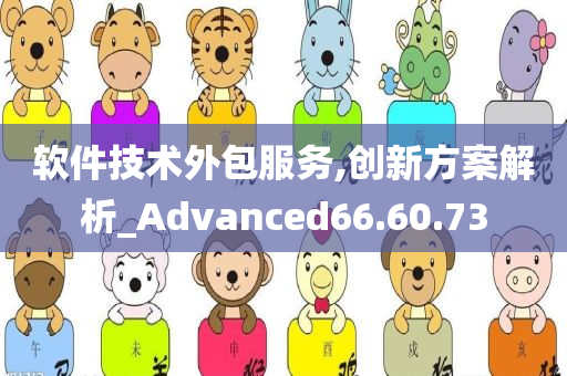 软件技术外包服务,创新方案解析_Advanced66.60.73