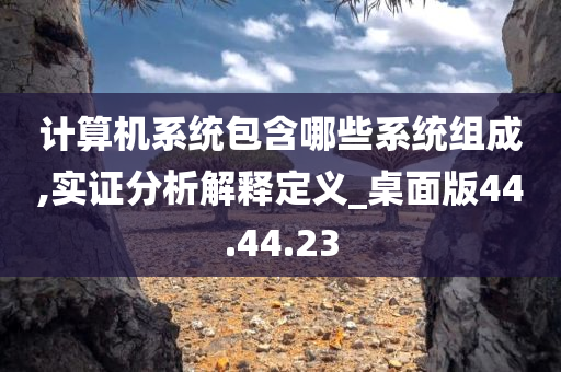 计算机系统包含哪些系统组成,实证分析解释定义_桌面版44.44.23