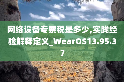 网络设备专票税是多少,实践经验解释定义_WearOS13.95.37