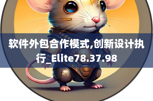 软件外包合作模式,创新设计执行_Elite78.37.98