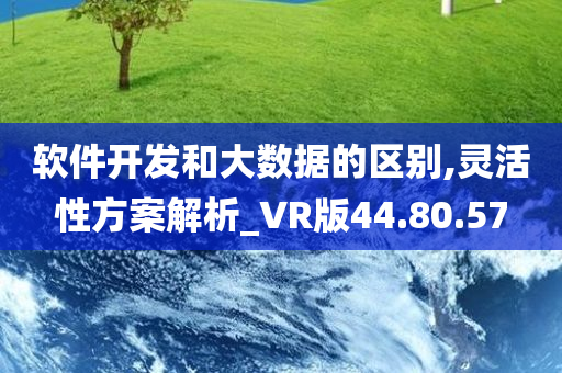 软件开发和大数据的区别,灵活性方案解析_VR版44.80.57