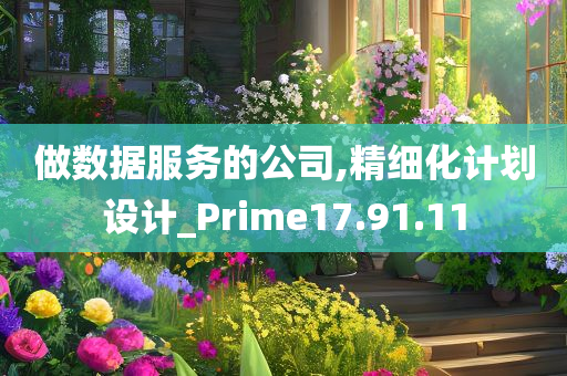 做数据服务的公司,精细化计划设计_Prime17.91.11