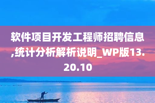 软件项目开发工程师招聘信息,统计分析解析说明_WP版13.20.10