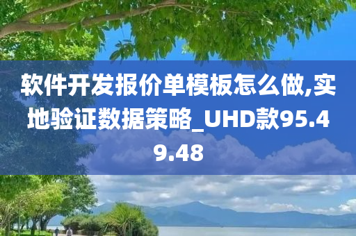 软件开发报价单模板怎么做,实地验证数据策略_UHD款95.49.48