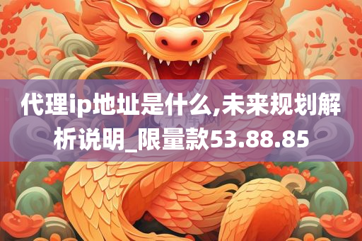 代理ip地址是什么,未来规划解析说明_限量款53.88.85