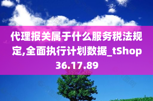 代理报关属于什么服务税法规定,全面执行计划数据_tShop36.17.89