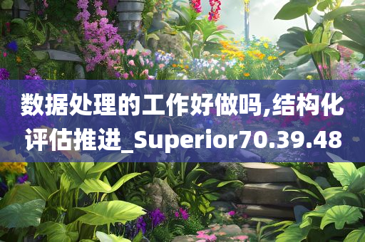 数据处理的工作好做吗,结构化评估推进_Superior70.39.48