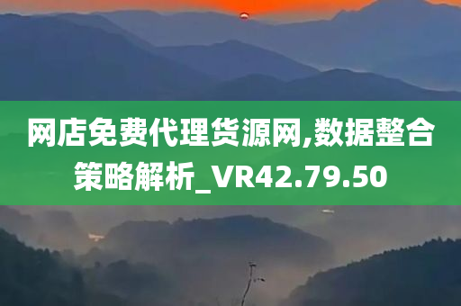 网店免费代理货源网,数据整合策略解析_VR42.79.50