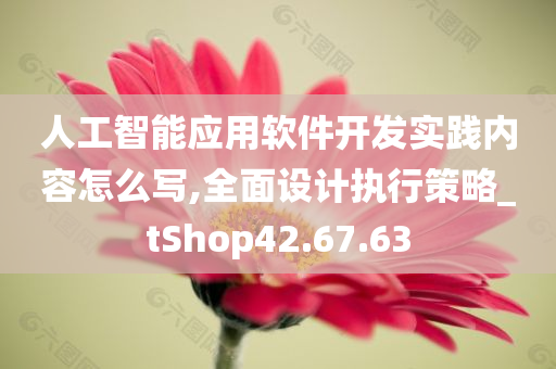 人工智能应用软件开发实践内容怎么写,全面设计执行策略_tShop42.67.63