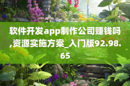 软件开发app制作公司赚钱吗,资源实施方案_入门版92.98.65