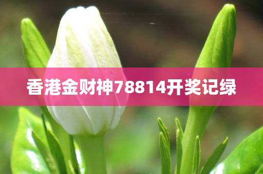 香港金财神78814开奖记绿