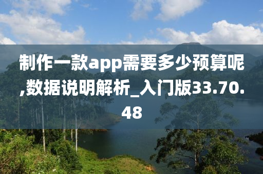 制作一款app需要多少预算呢,数据说明解析_入门版33.70.48