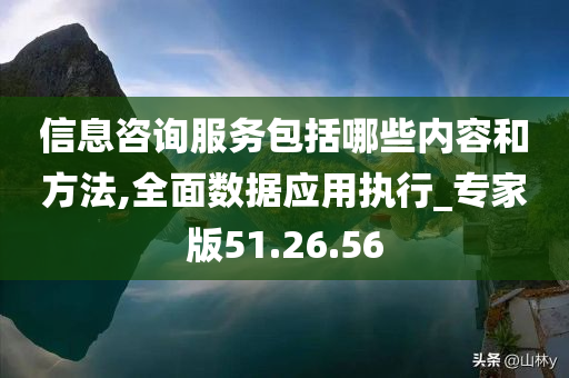 信息咨询服务包括哪些内容和方法,全面数据应用执行_专家版51.26.56