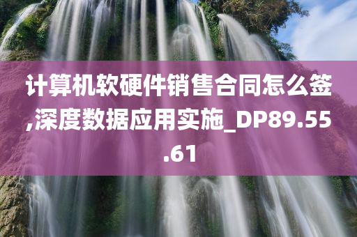 计算机软硬件销售合同怎么签,深度数据应用实施_DP89.55.61