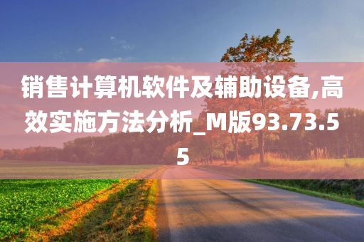 销售计算机软件及辅助设备,高效实施方法分析_M版93.73.55