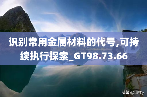 识别常用金属材料的代号,可持续执行探索_GT98.73.66