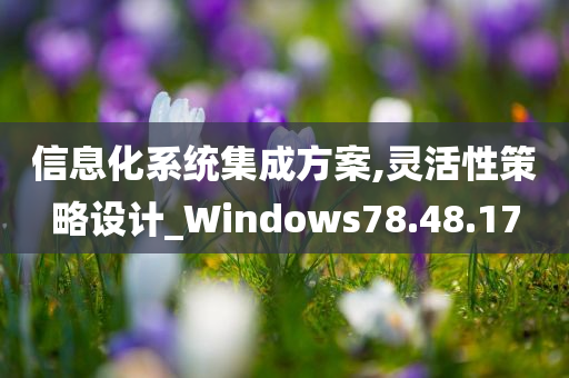 信息化系统集成方案,灵活性策略设计_Windows78.48.17