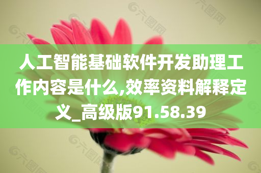 人工智能基础软件开发助理工作内容是什么,效率资料解释定义_高级版91.58.39