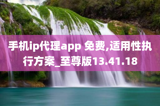 手机ip代理app 免费,适用性执行方案_至尊版13.41.18