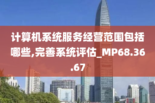 计算机系统服务经营范围包括哪些,完善系统评估_MP68.36.67