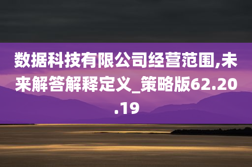 数据科技有限公司经营范围,未来解答解释定义_策略版62.20.19