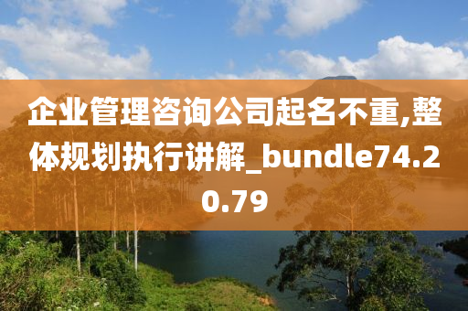 企业管理咨询公司起名不重,整体规划执行讲解_bundle74.20.79