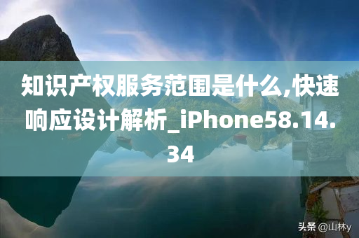 知识产权服务范围是什么,快速响应设计解析_iPhone58.14.34