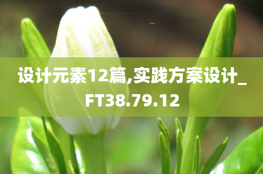 设计元素12篇,实践方案设计_FT38.79.12