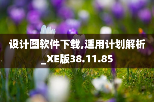 设计图软件下载,适用计划解析_XE版38.11.85