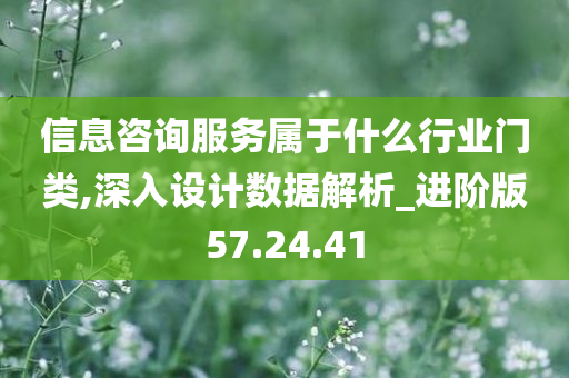 信息咨询服务属于什么行业门类,深入设计数据解析_进阶版57.24.41