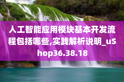 人工智能应用模块基本开发流程包括哪些,实践解析说明_uShop36.38.18