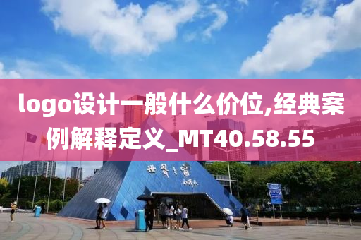 logo设计一般什么价位,经典案例解释定义_MT40.58.55