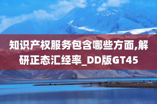 知识产权服务包含哪些方面,解研正态汇经率_DD版GT45