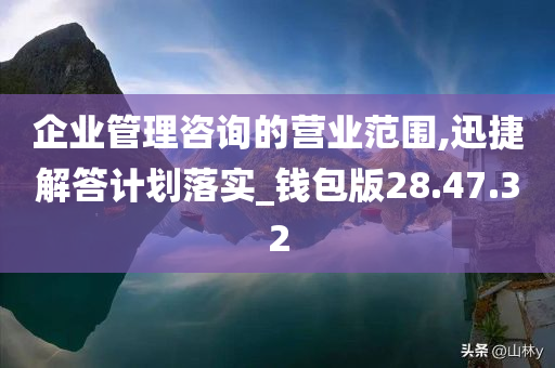 企业管理咨询的营业范围,迅捷解答计划落实_钱包版28.47.32