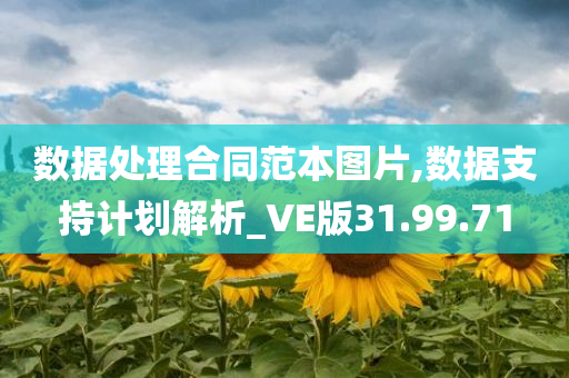 数据处理合同范本图片,数据支持计划解析_VE版31.99.71