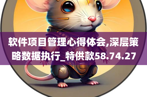 软件项目管理心得体会,深层策略数据执行_特供款58.74.27