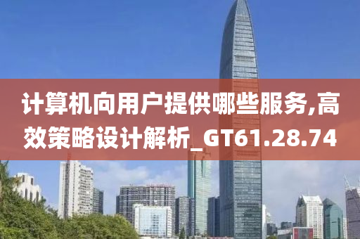 计算机向用户提供哪些服务,高效策略设计解析_GT61.28.74