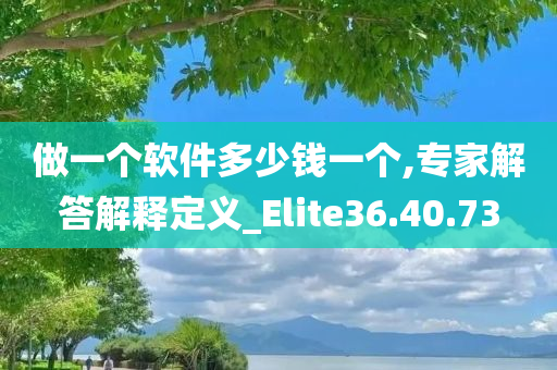 做一个软件多少钱一个,专家解答解释定义_Elite36.40.73