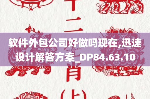 软件外包公司好做吗现在,迅速设计解答方案_DP84.63.10