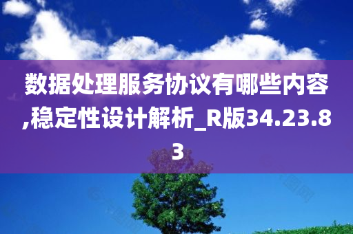 数据处理服务协议有哪些内容,稳定性设计解析_R版34.23.83