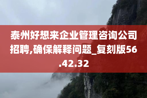 泰州好想来企业管理咨询公司招聘,确保解释问题_复刻版56.42.32