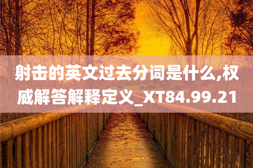 射击的英文过去分词是什么,权威解答解释定义_XT84.99.21