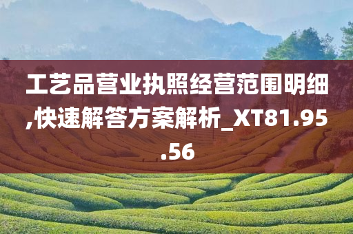 工艺品营业执照经营范围明细,快速解答方案解析_XT81.95.56