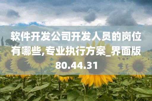 软件开发公司开发人员的岗位有哪些,专业执行方案_界面版80.44.31