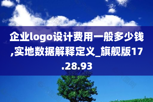 企业logo设计费用一般多少钱,实地数据解释定义_旗舰版17.28.93