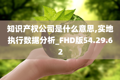 知识产权公司是什么意思,实地执行数据分析_FHD版54.29.62