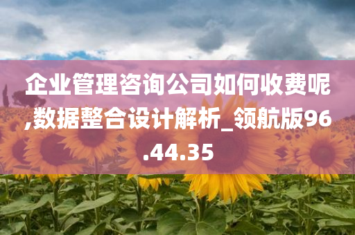 企业管理咨询公司如何收费呢,数据整合设计解析_领航版96.44.35