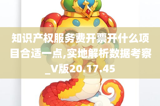 知识产权服务费开票开什么项目合适一点,实地解析数据考察_V版20.17.45