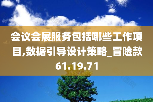 会议会展服务包括哪些工作项目,数据引导设计策略_冒险款61.19.71